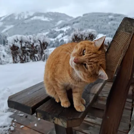 Leitengut Apartmán Altenmarkt im Pongau